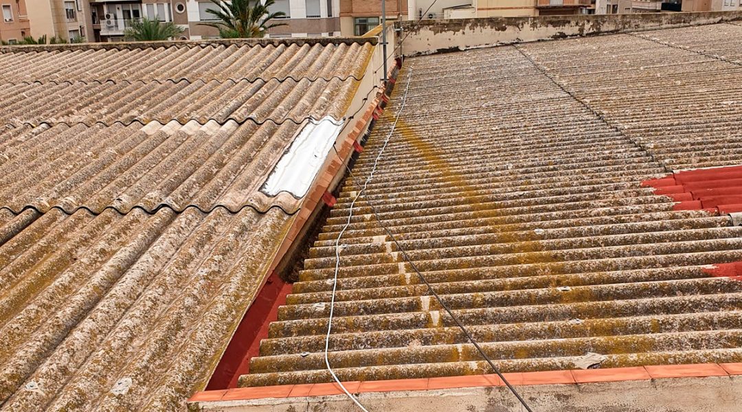 COLEGIO VIRGEN ASUNCIÓN ELCHE - ESCLAPÉS E HIJOS (3)