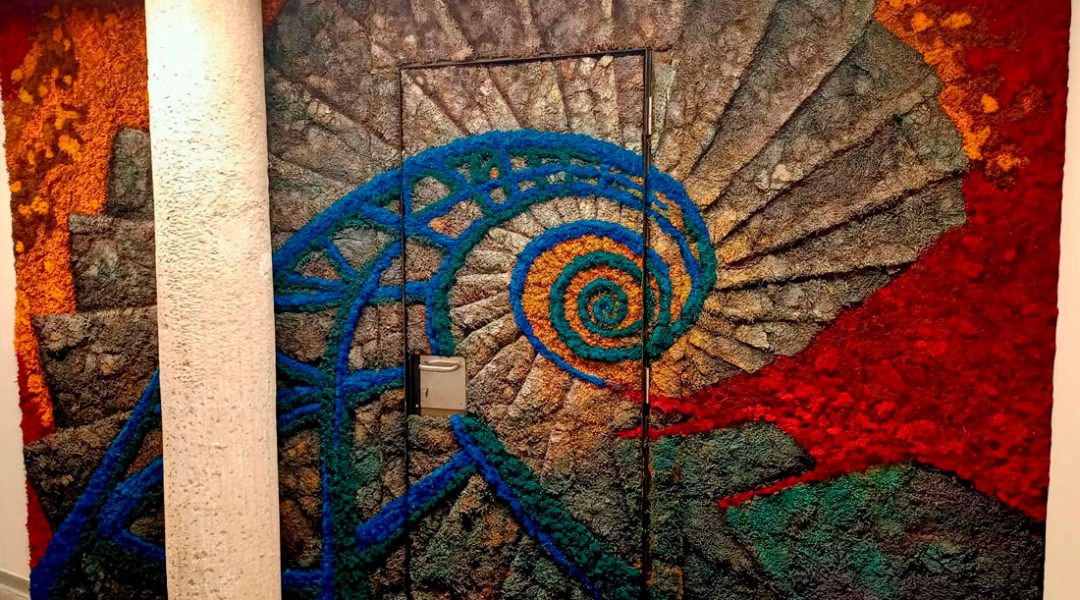 REFORMA INTEGRAL CEU CARMELITAS ELCHE (JARDINES) - ESCLAPÉS E HIJOS (3) REFORMA INTEGRAL CEU CARMELITAS ELCHE (JARDINES) - ESCLAPÉS E HIJOS (3)