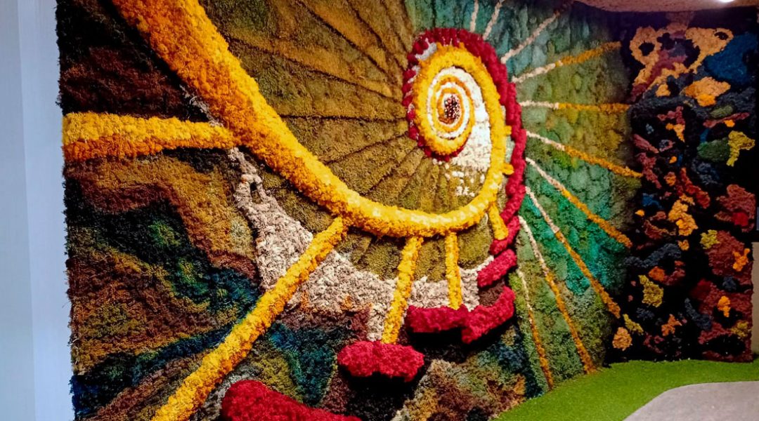 REFORMA INTEGRAL CEU CARMELITAS ELCHE (JARDINES) - ESCLAPÉS E HIJOS (4) REFORMA INTEGRAL CEU CARMELITAS ELCHE (JARDINES) - ESCLAPÉS E HIJOS (4)