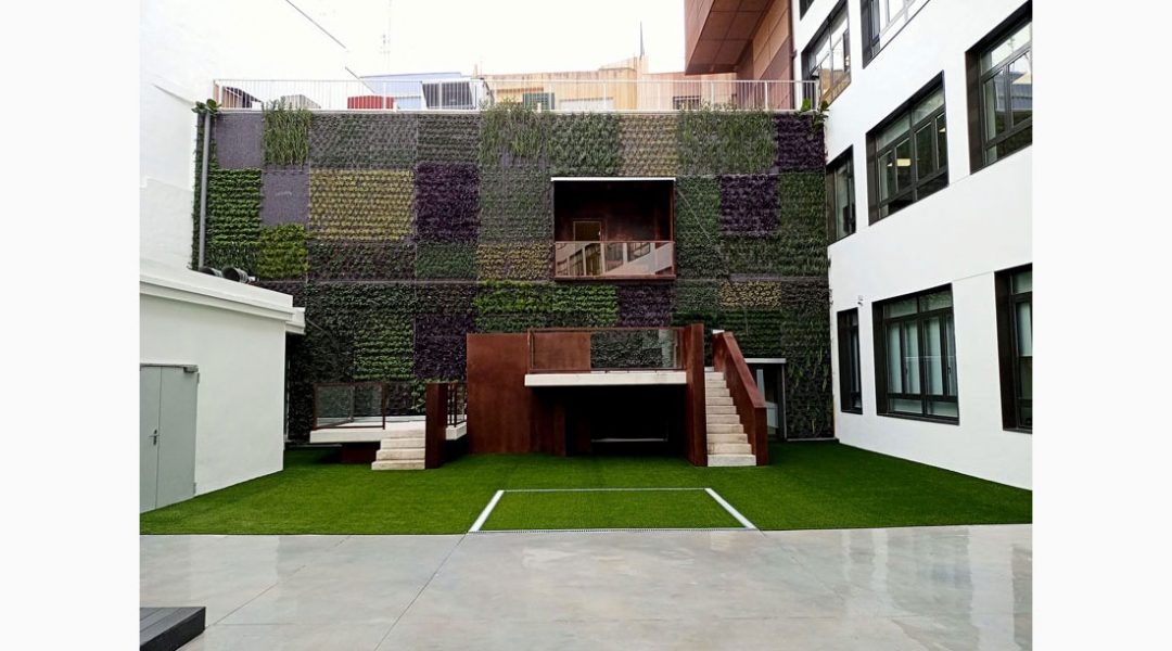 REFORMA INTEGRAL CEU CARMELITAS ELCHE (PATIO INTERIOR) - ESCLAPÉS E HIJOS, S.L. (1) REFORMA INTEGRAL CEU CARMELITAS ELCHE (PATIO INTERIOR) - ESCLAPÉS E HIJOS, S.L. (1)