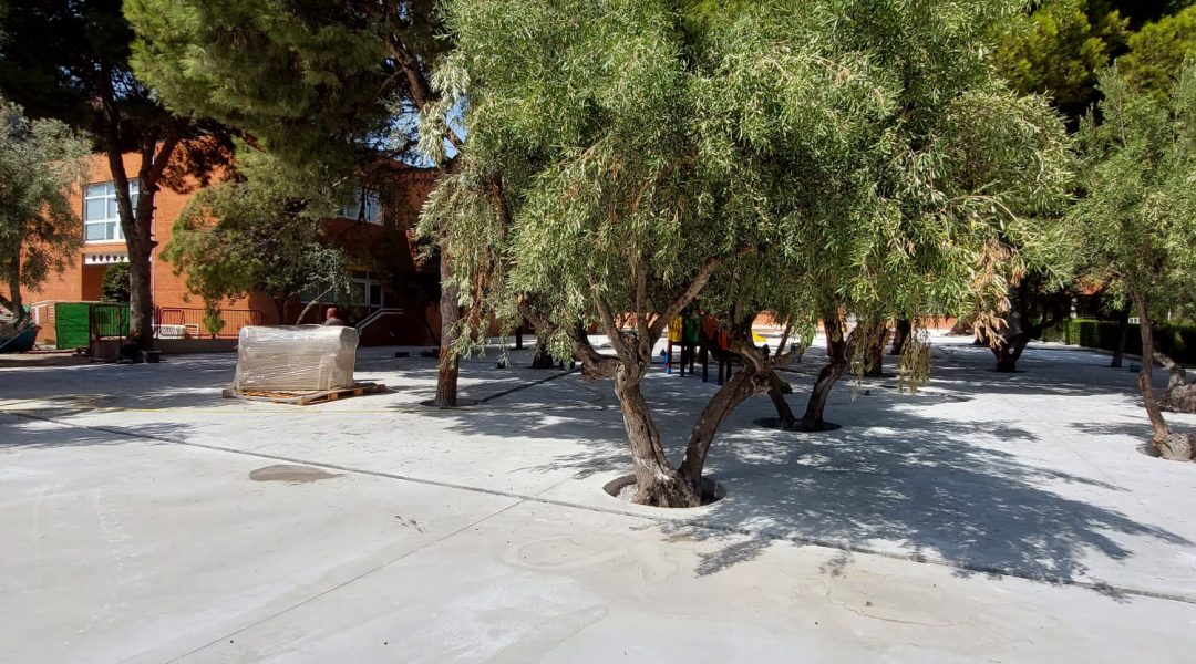 PATIO COLEGIO ALTOZANO